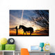 woman and horse Wall Mural