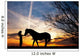 woman and horse Wall Mural