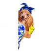 Housewife dog 