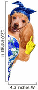 Housewife dog 