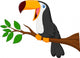 Cute Toucan Bird Cartoon Wall Decal