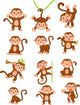 Happy monkey cartoon collection set Wall Decal