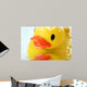 Product Photography 