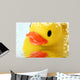 Product Photography 