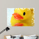 Product Photography 