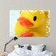 Product Photography 
