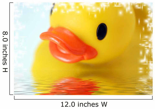 Product Photography 