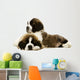 St Bernard Puppies Isolated on White 