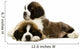 St Bernard Puppies Isolated on White 