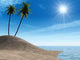 Sea Coast Palm Tree Wall Decal