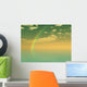 Beautiful rainbow Wall Mural