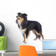 Sheltie Standing Sideways Isolated Wall Decal