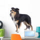 Sheltie Standing Sideways Isolated Wall Decal