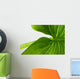Elephant Ear Leaf Wall Decal