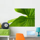 Elephant Ear Leaf Wall Decal