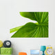 Elephant Ear Leaf Wall Decal