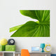 Elephant Ear Leaf Wall Decal