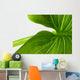Elephant Ear Leaf Wall Decal
