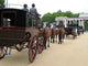 Coach and Horse Procession Wall Decal