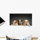 English bulldog puppies Wall Decal