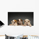 English bulldog puppies Wall Decal