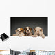 English bulldog puppies Wall Decal