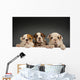English bulldog puppies Wall Decal