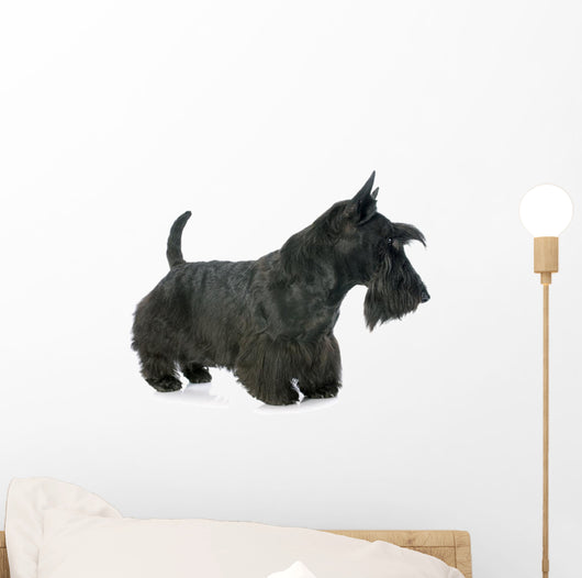 Scottish Terrier Wall Decal
