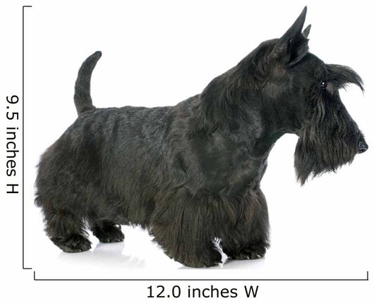 Scottish Terrier Wall Decal