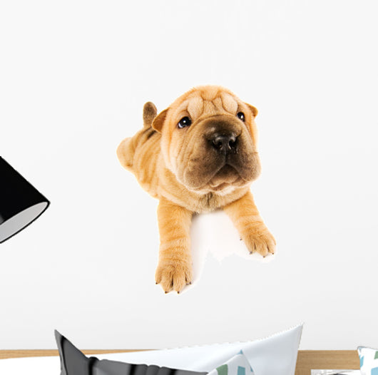 Funny Sharpei Puppy Wall Decal