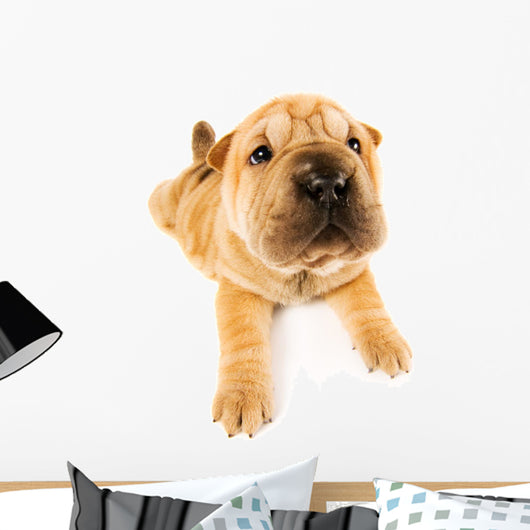 Funny Sharpei Puppy Wall Decal