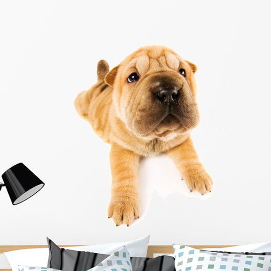Funny Sharpei Puppy Wall Decal