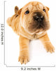 Funny Sharpei Puppy Wall Decal