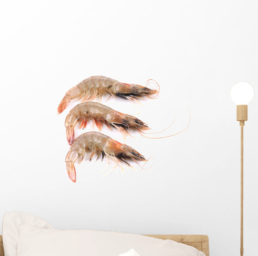 Close up of Three Fresh Shrimp Wall Decal