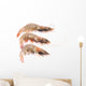 Close up of Three Fresh Shrimp Wall Decal