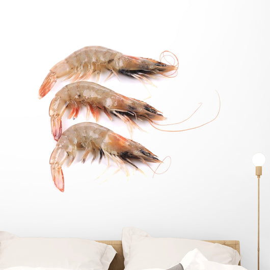 Close up of Three Fresh Shrimp Wall Decal