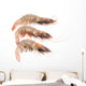 Close up of Three Fresh Shrimp Wall Decal