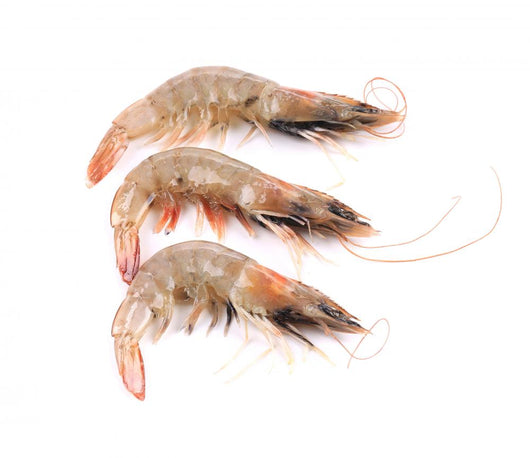 Close up of Three Fresh Shrimp Wall Decal