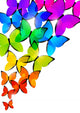 Rainbow Butterflies for Your Design Wall Decal