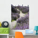 Path Leading up through Wall Decal