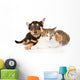 Tiny Puppy Dog Embracing a Cat. Isolated on White Background 