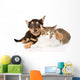 Tiny Puppy Dog Embracing a Cat. Isolated on White Background 