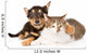 Tiny Puppy Dog Embracing a Cat. Isolated on White Background 