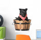Puppy in a Bucket 