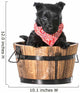 Puppy in a Bucket 