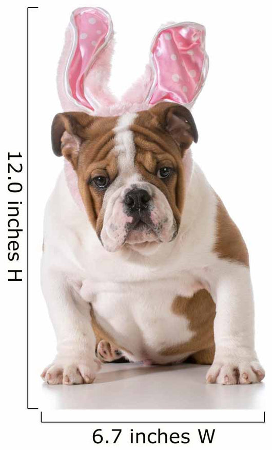 Easter Dog 