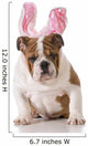 Easter Dog 