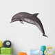 Jumping Dolphin 
