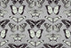 Butterfly Pattern Wall Decal