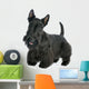 Scottish Terrier Wall Decal